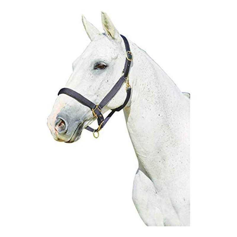 Gatsby Leather Halter Snap - Image 5