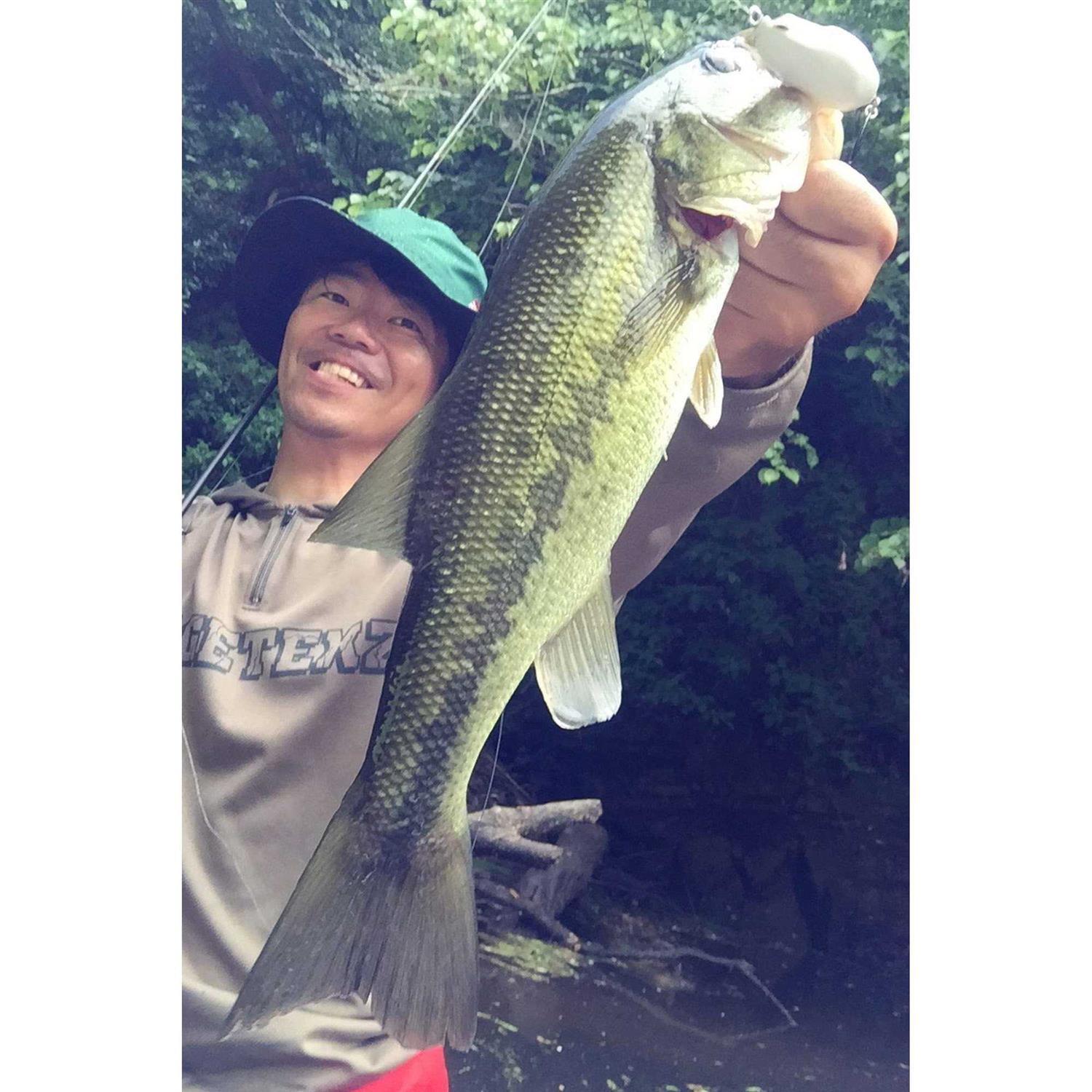 Berkley X9 Braid Low Vis Green - Image 2