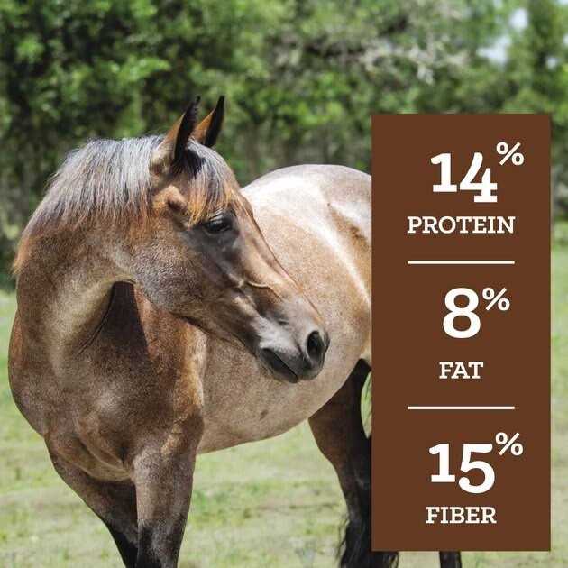 Nutrena SafeChoice All Life Stages Horse Feed - Image 5