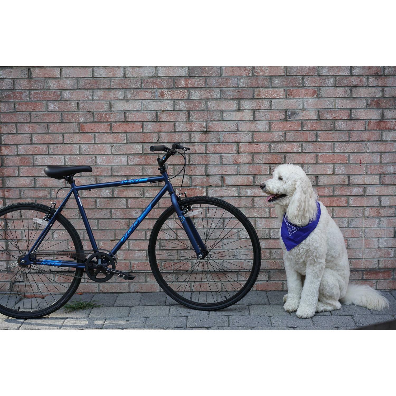 Kent Fixie Men's Bike - Image 2