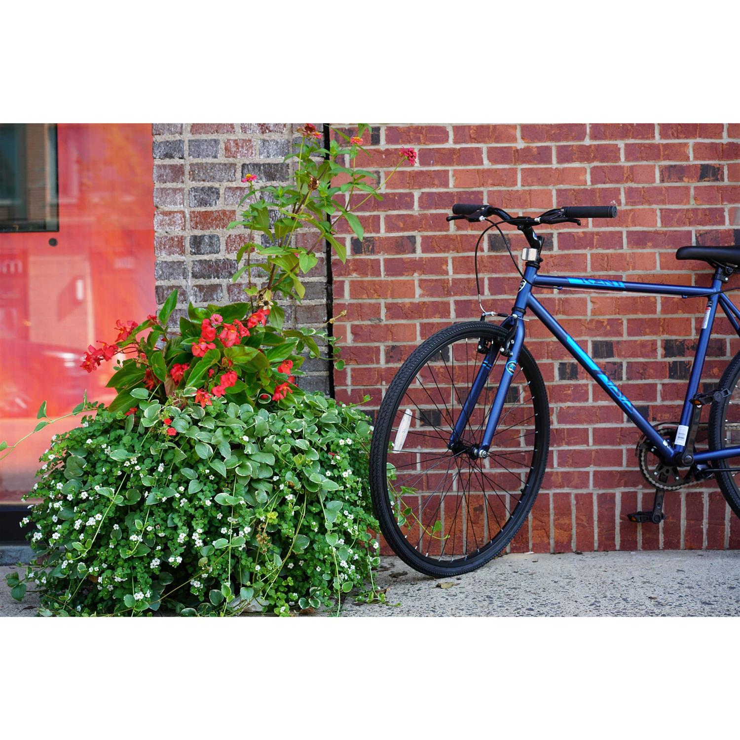 Kent Fixie Men's Bike - Image 5