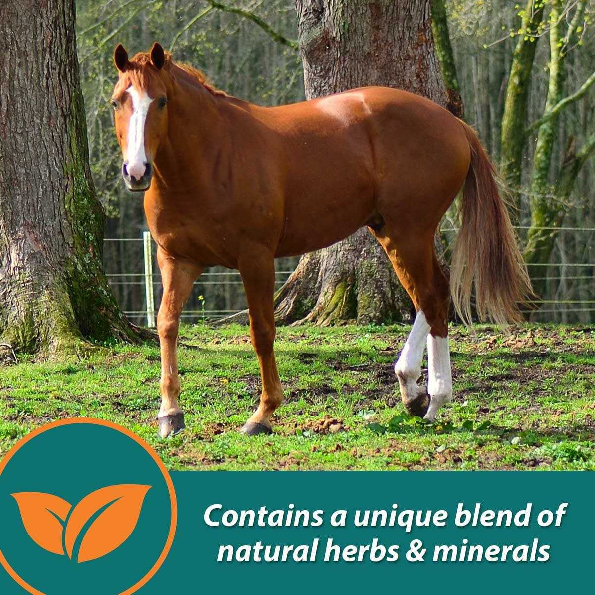 Farnam Cough Free Pellets - Image 4