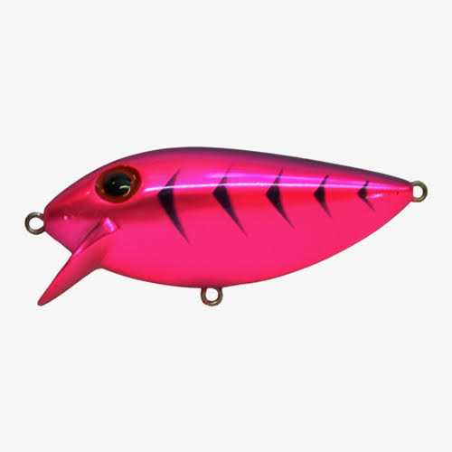 Alternative view of Brad's ThinFish