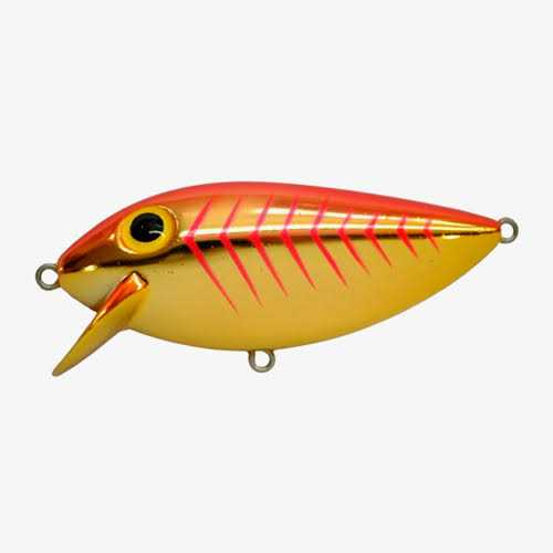 Brad's ThinFish - Image 5