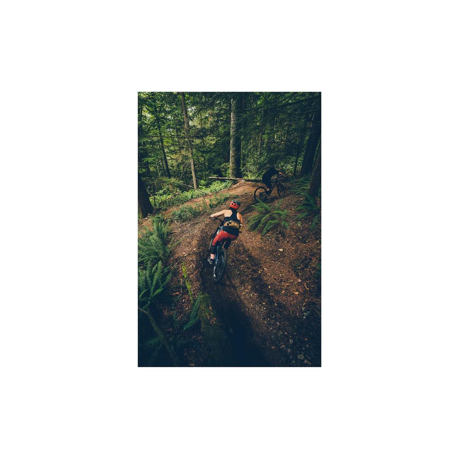 PNW Components The Loam Carbon Handlebar - Image 2