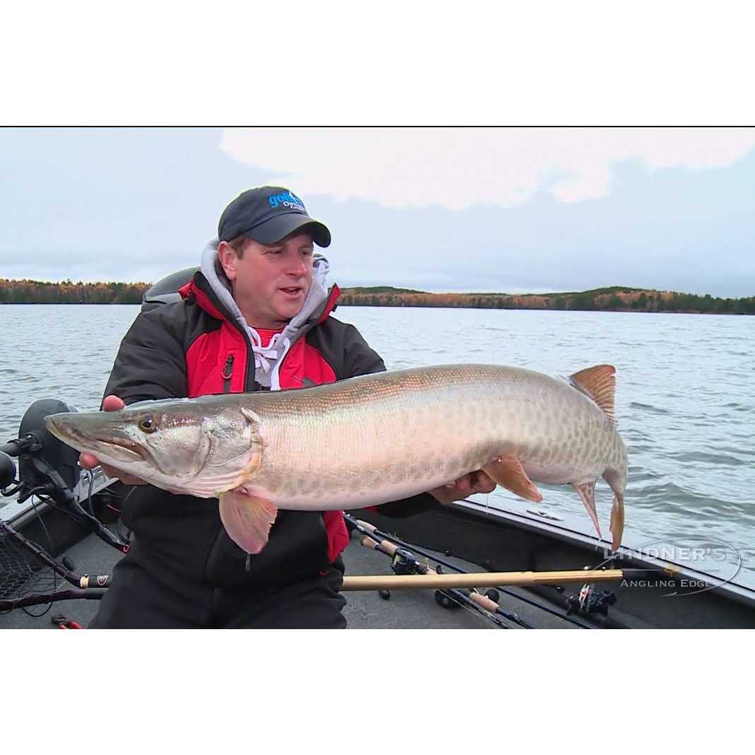 Daiwa LEXA Line Counter Reel - Image 4