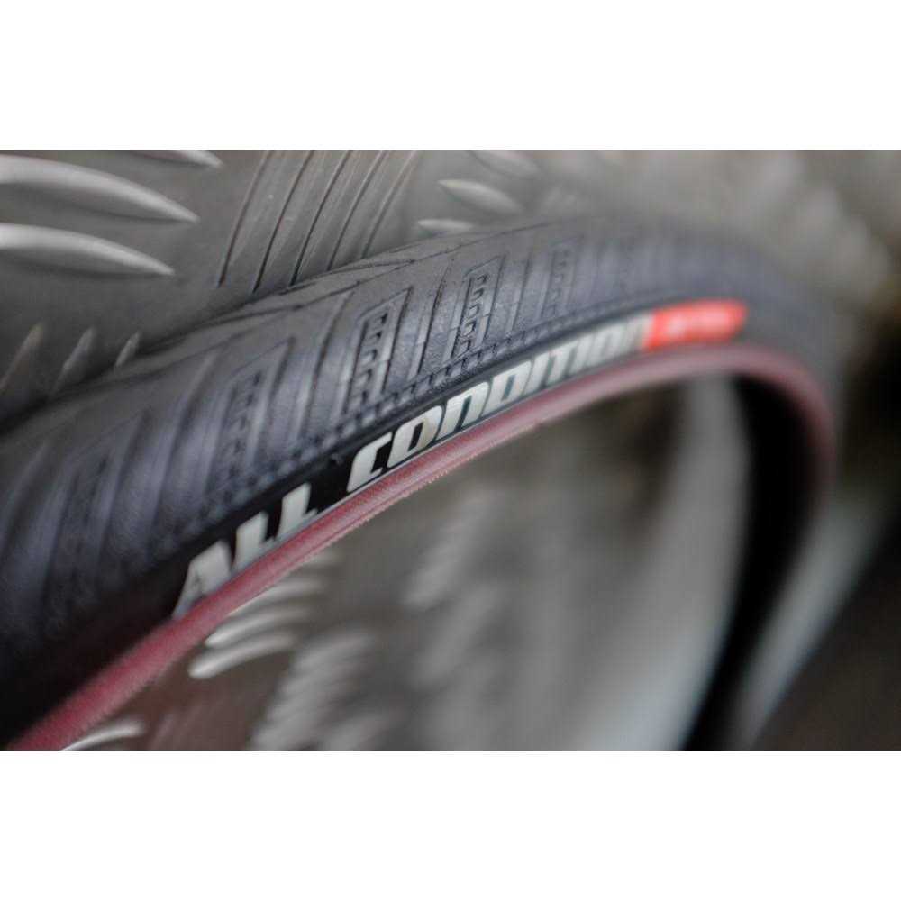 Specialized All Condition Armadillo Tire - Image 5