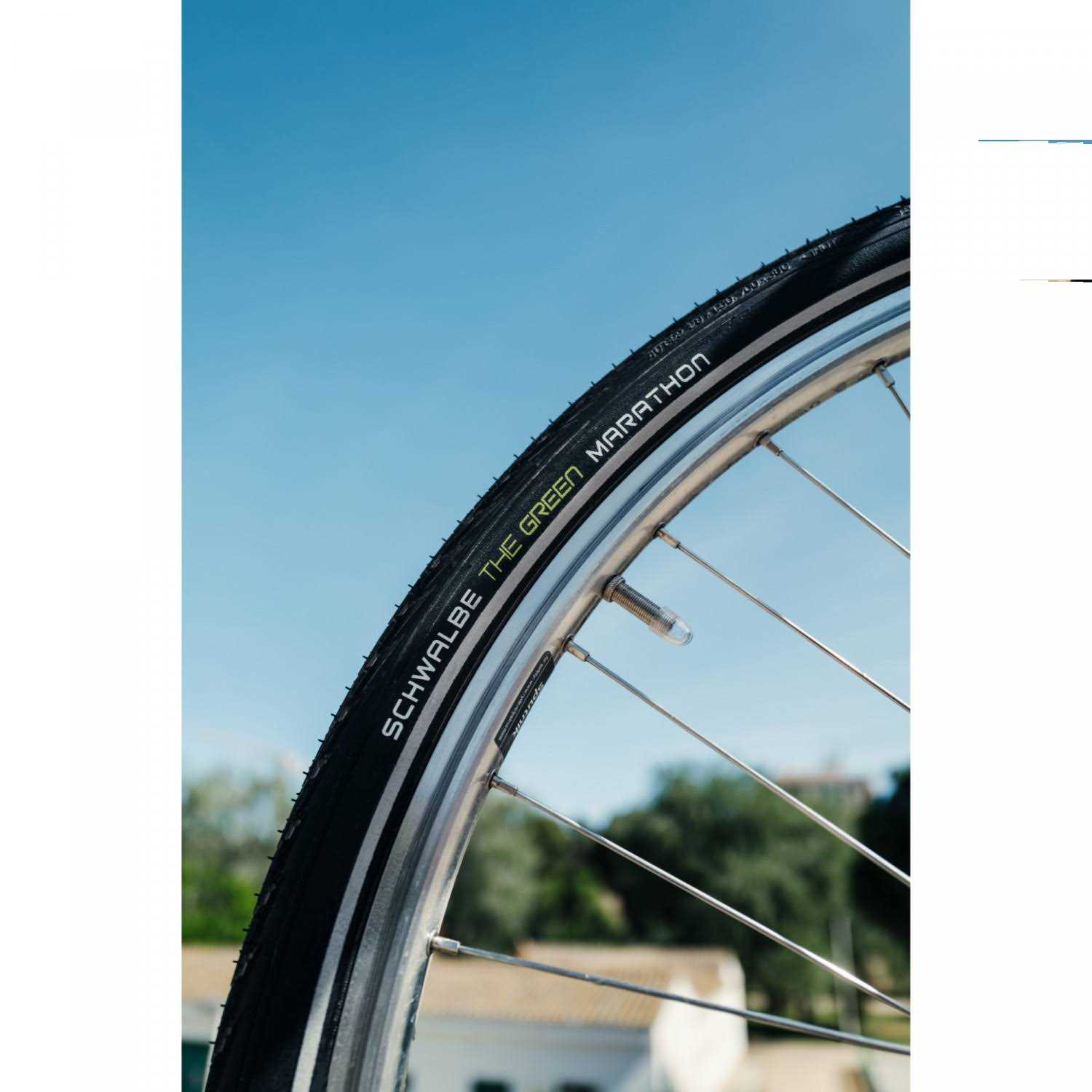 Schwalbe Green Marathon Tire - Image 5