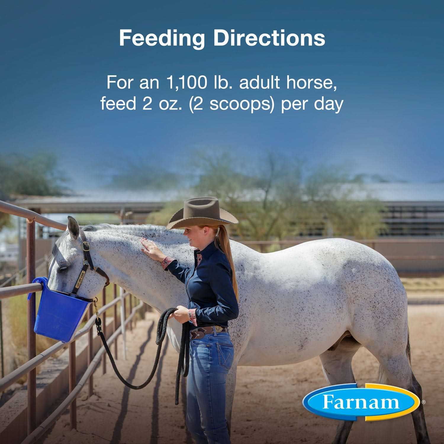 Farnam Horseshoer's Secret Pelleted Hoof Supplement - Image 2