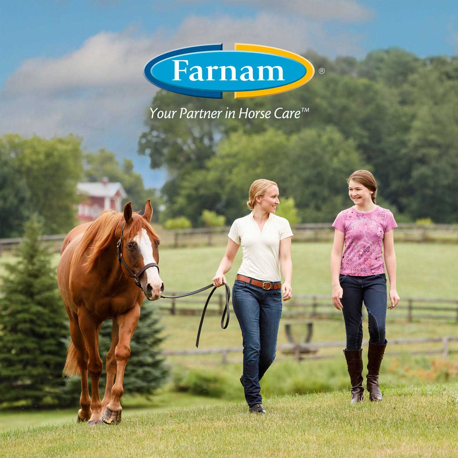 Farnam Horseshoer's Secret Pelleted Hoof Supplement - Image 4