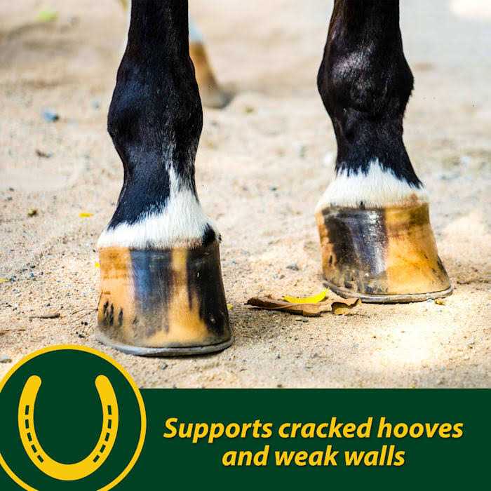 Farnam Horseshoer's Secret Pelleted Hoof Supplement - Image 2