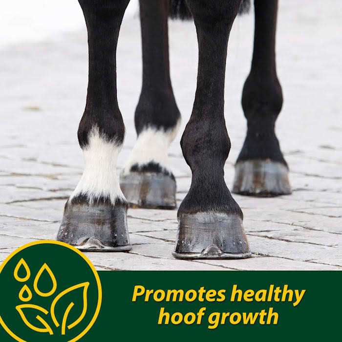 Farnam Horseshoer's Secret Pelleted Hoof Supplement - Image 5