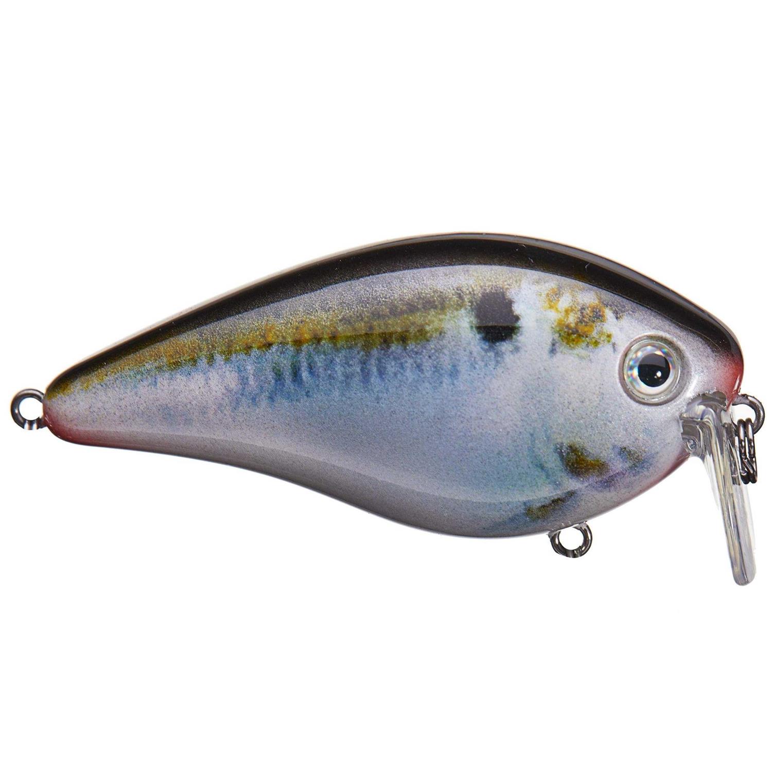 Strike King KVD 2.5 Wake Bait - Image 3