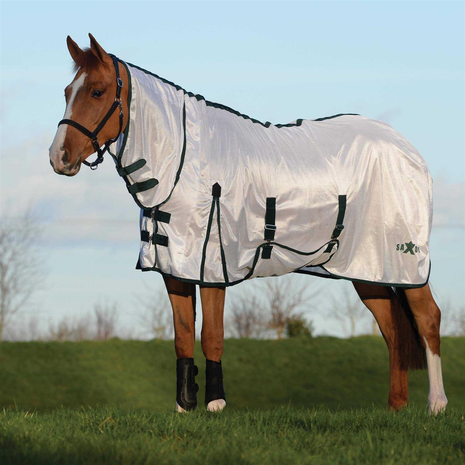 Saxon Mesh with Gusset Belly Wrap Standard Neck Fly Sheet - Image 2