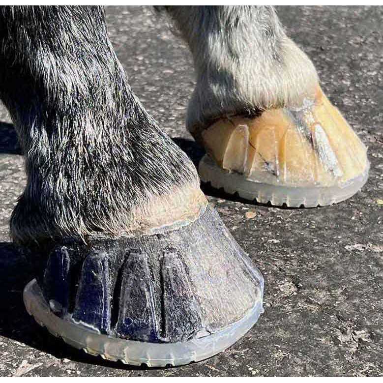 EasyShoe Versa Grip Octo Shoe - Image 2