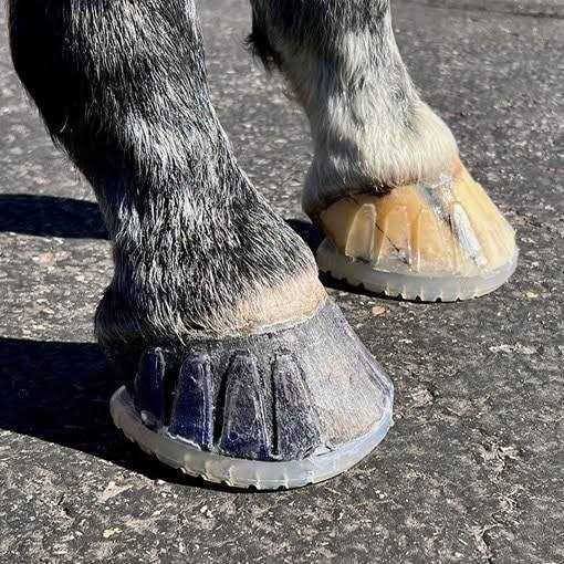 EasyShoe Versa Grip Octo Shoe - Image 5