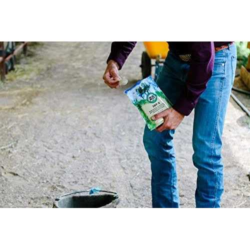 Silver Lining Herbs 25 INF-X Horse Supplement - Image 4