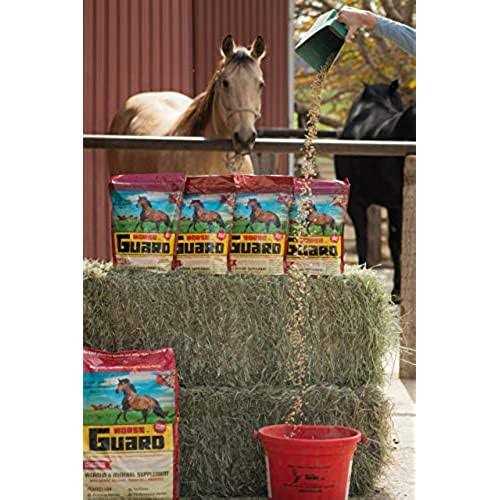 Horse Guard Equine Vitamin Mineral Supplement - Image 4