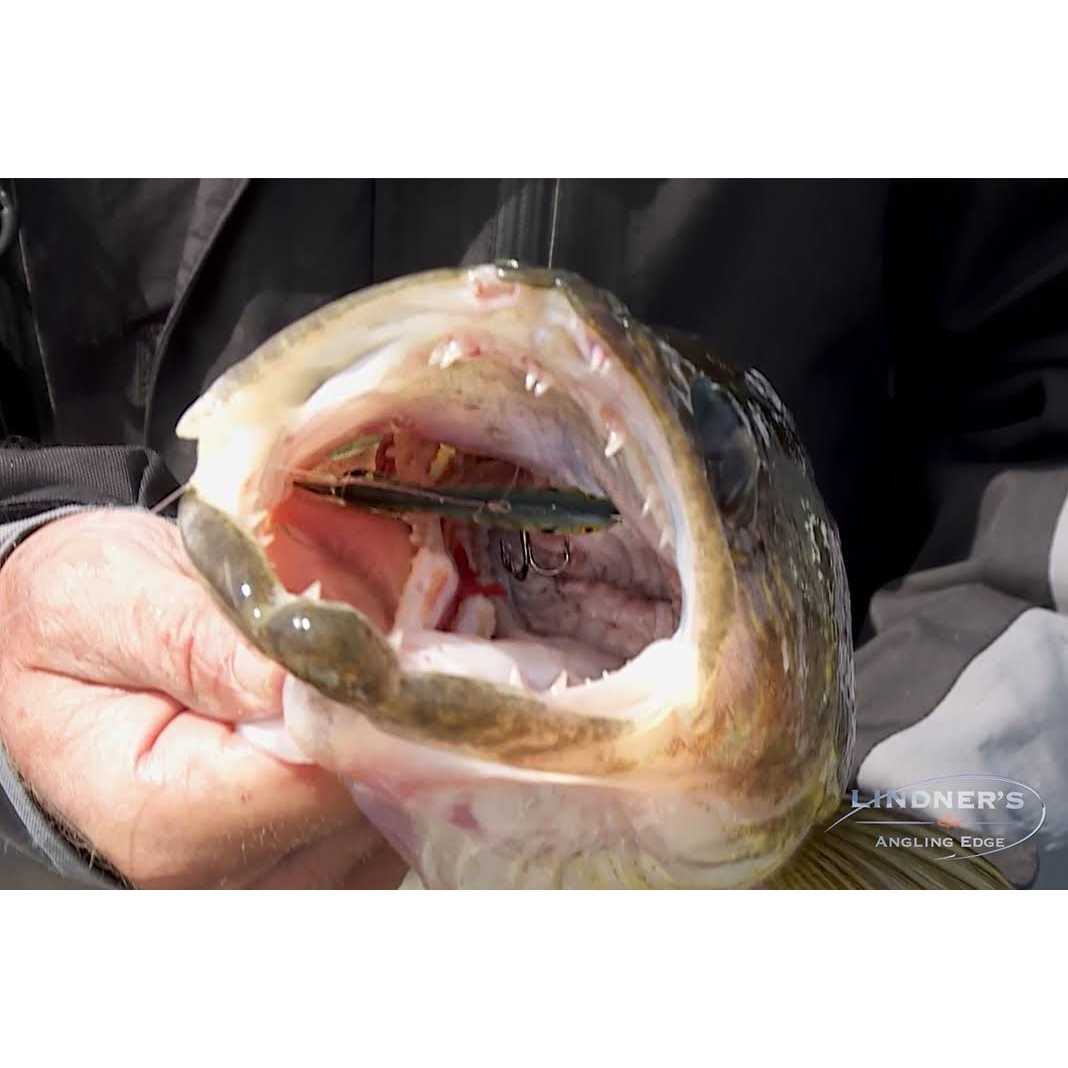 St. Croix Eyecon Spinning Rod - Image 3