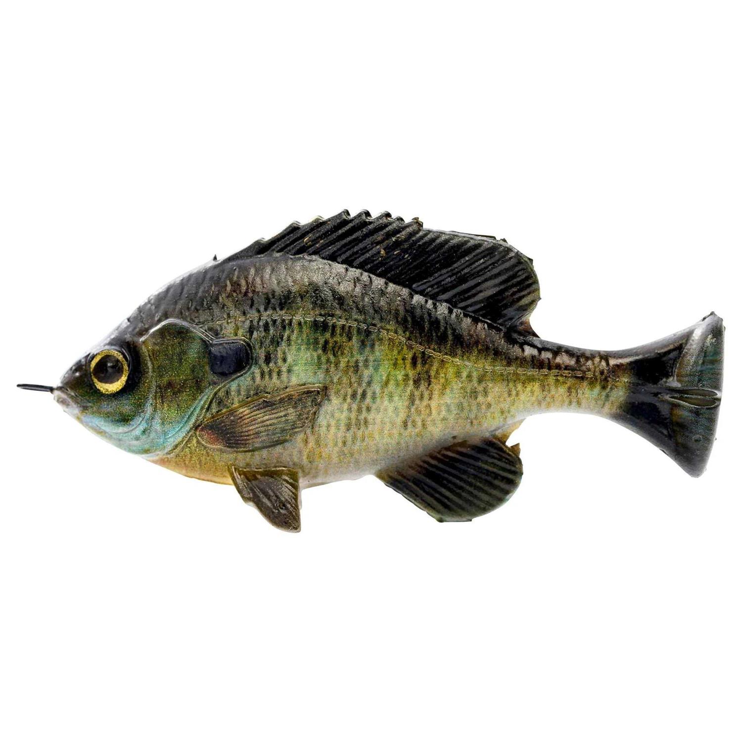 Savage Gear Pulse Tail Bluegill