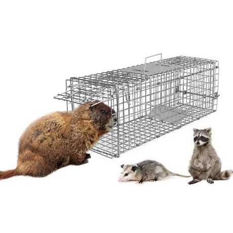 iMounTEK Humane Trap Cage Catch Release Live Small Animal Rodent Cage Collapsible Metal Wire