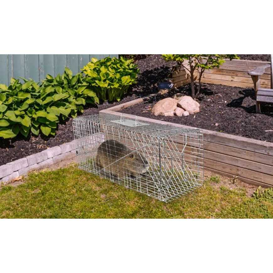 iMounTEK Humane Trap Cage Catch Release Live Small Animal Rodent Cage Collapsible Metal Wire - Image 3