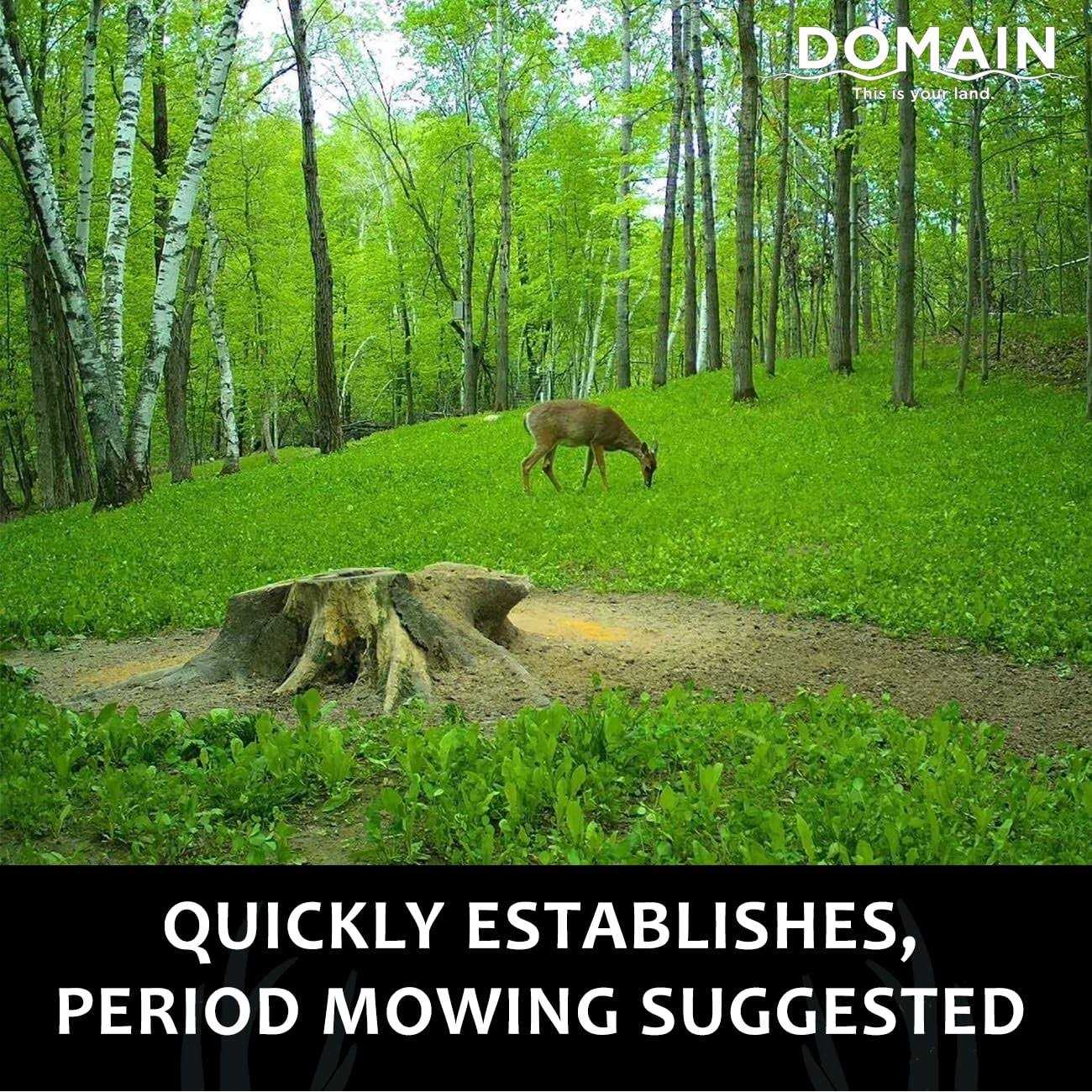 Domain Hot Chic Food Plot Seed - Image 3