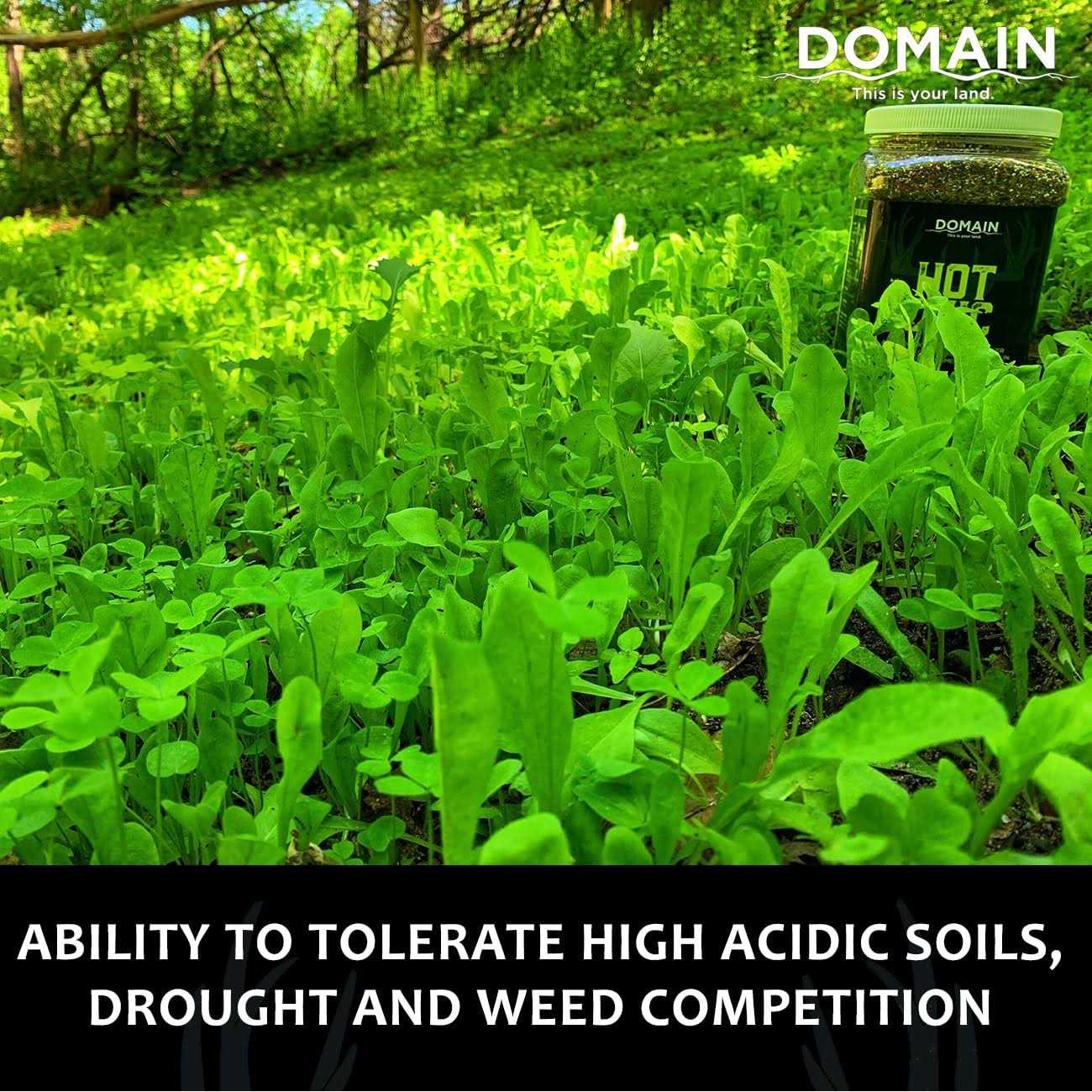 Domain Hot Chic Food Plot Seed - Image 4