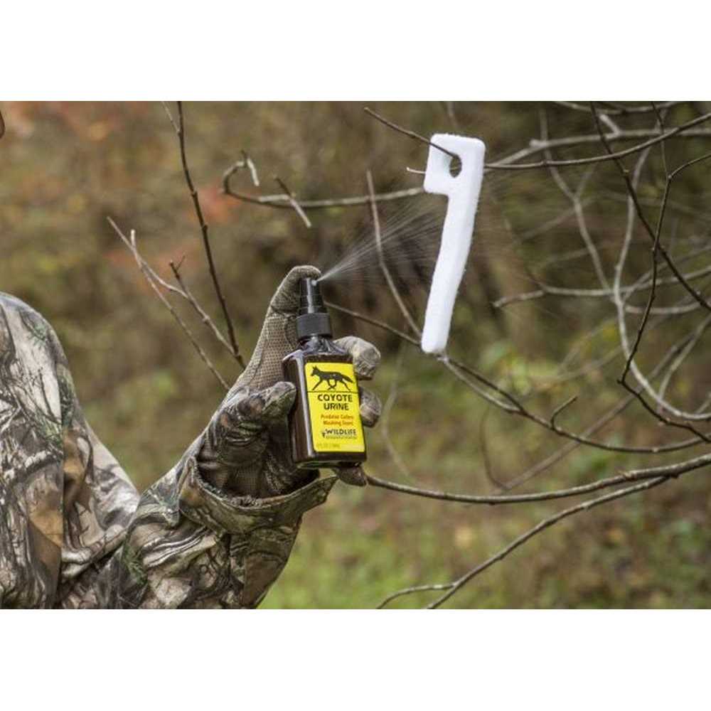 Wildlife Research Coyote Urine - Image 5