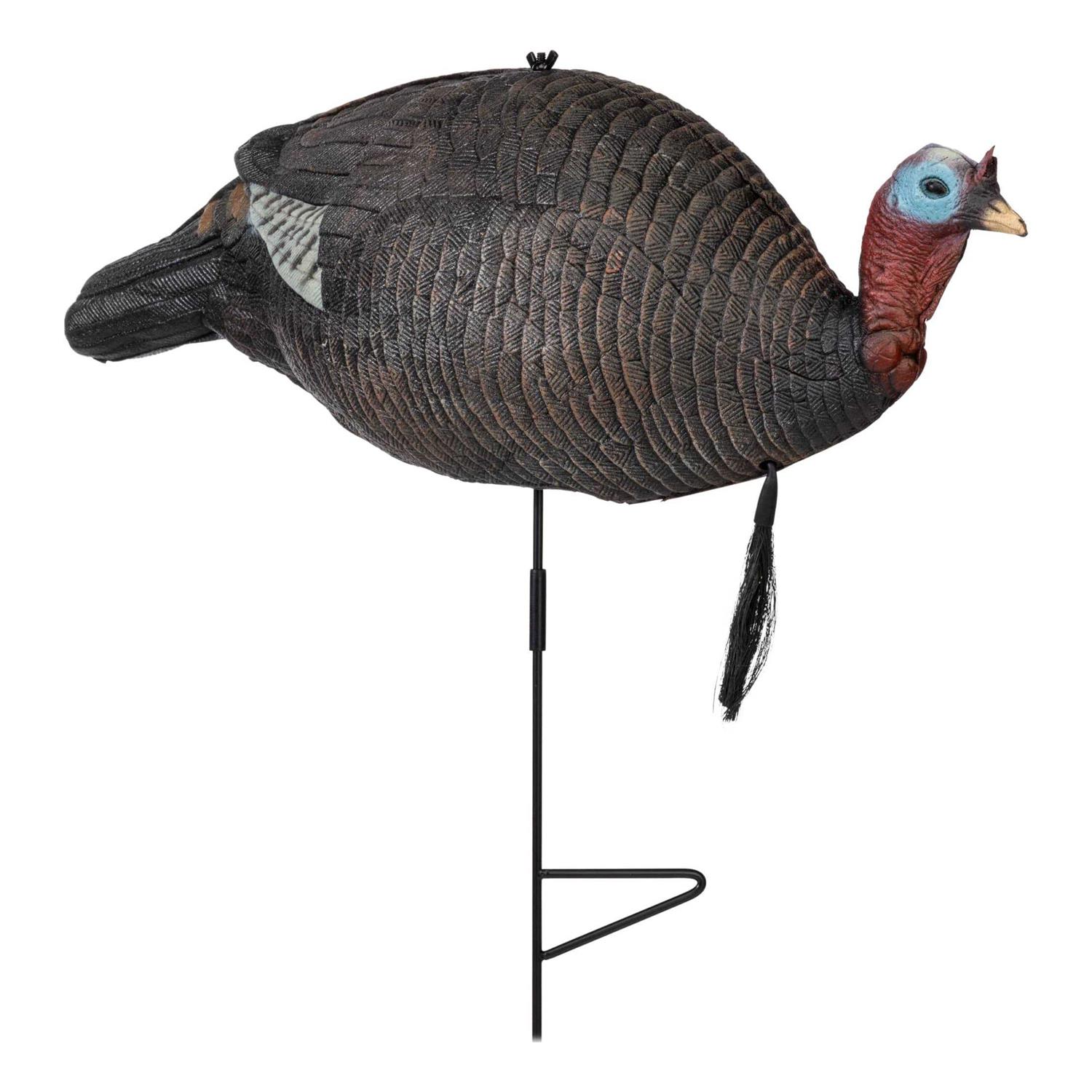 Pursuit Foam Upright Jake Turkey Decoy