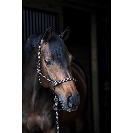 Gatsby Cowboy Rope Halter - Image 5