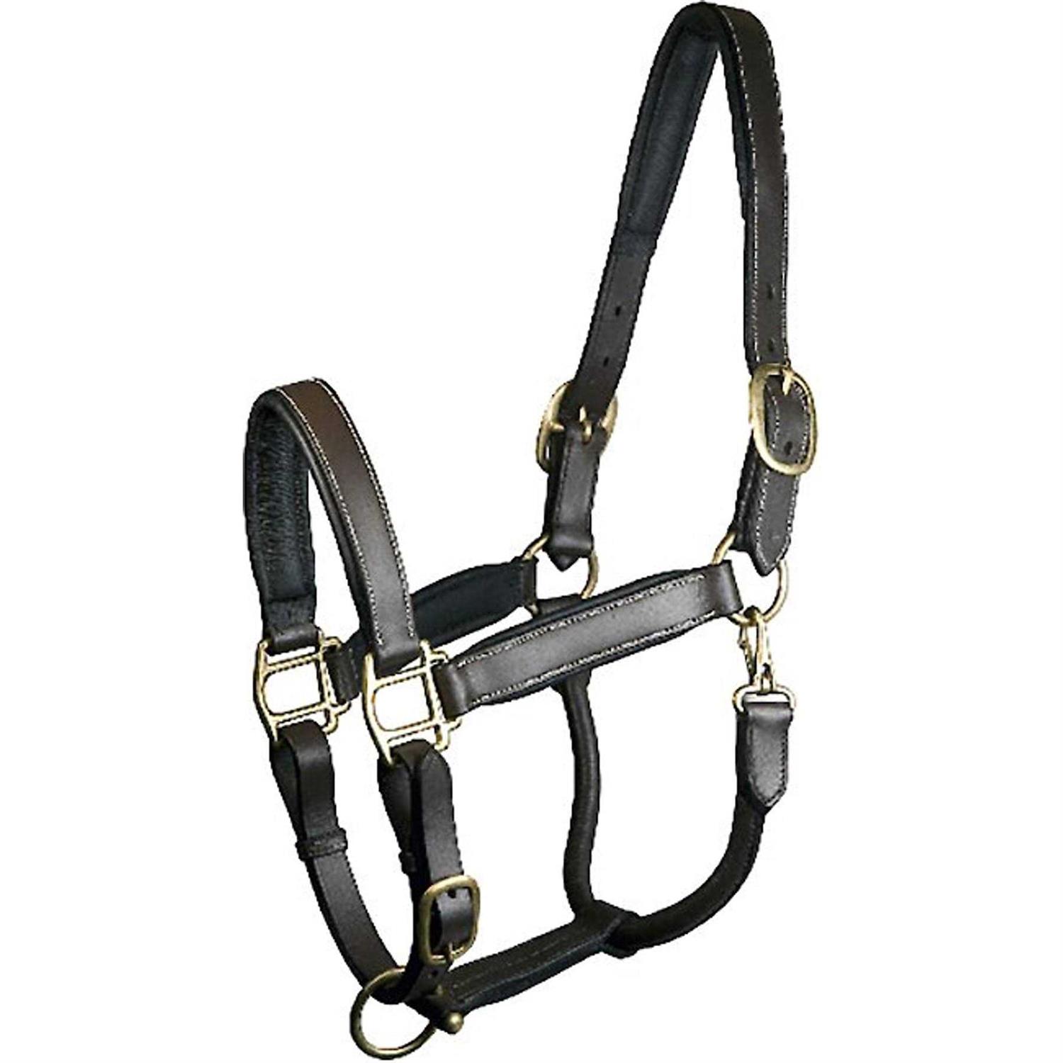 Gatsby Halter Padded Leather