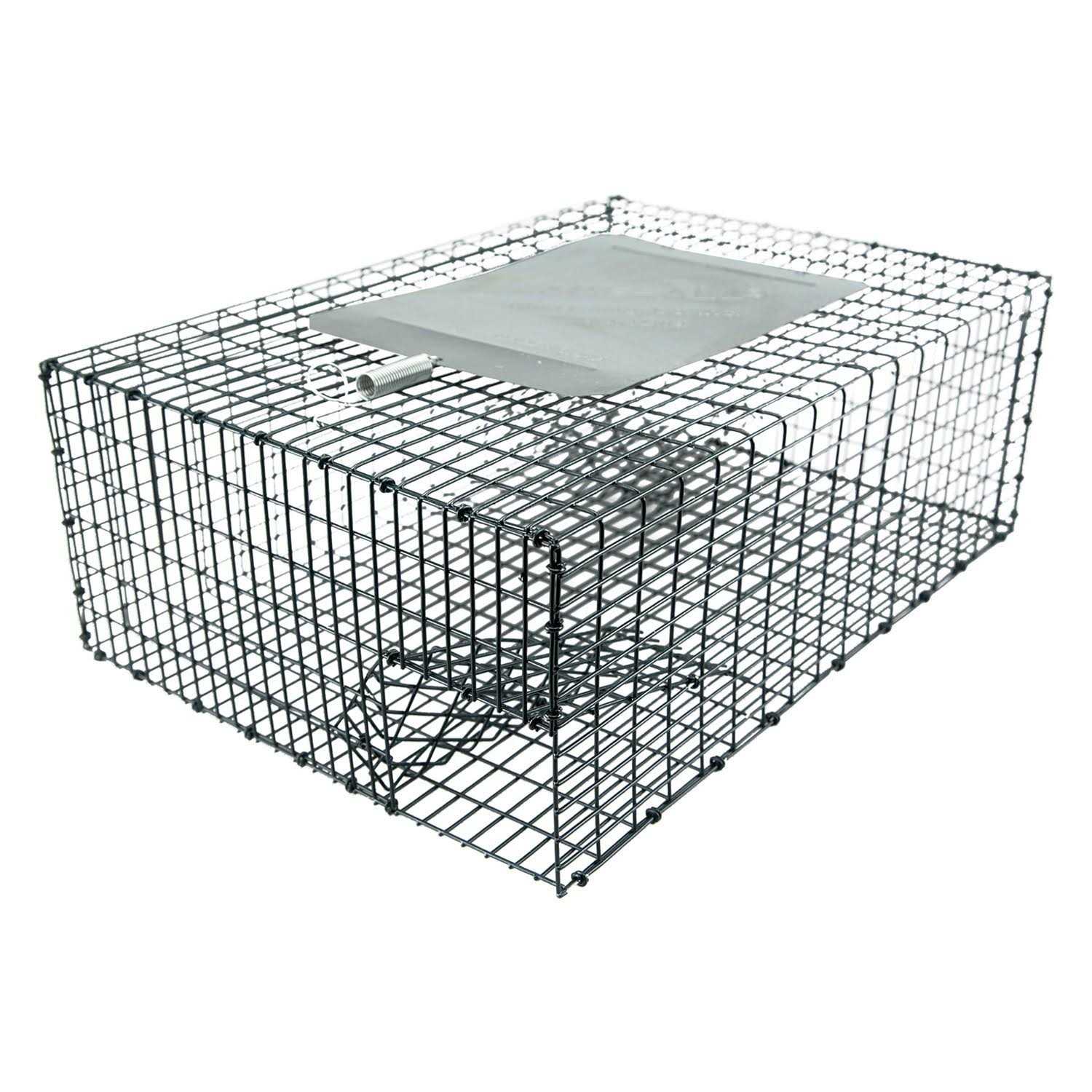 Kness 161-0-006 18 inch X 13 inch X 7 inch Forest Green Kage-All Sparrow Trap - Image 2