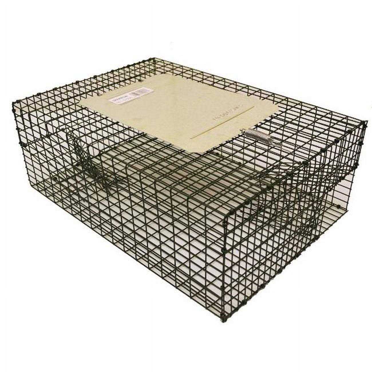 Kness 161-0-006 18 inch X 13 inch X 7 inch Forest Green Kage-All Sparrow Trap - Image 3