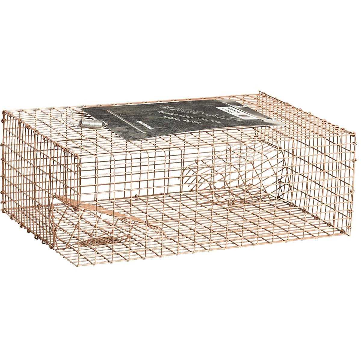 Kness 161-0-006 18 inch X 13 inch X 7 inch Forest Green Kage-All Sparrow Trap - Image 4