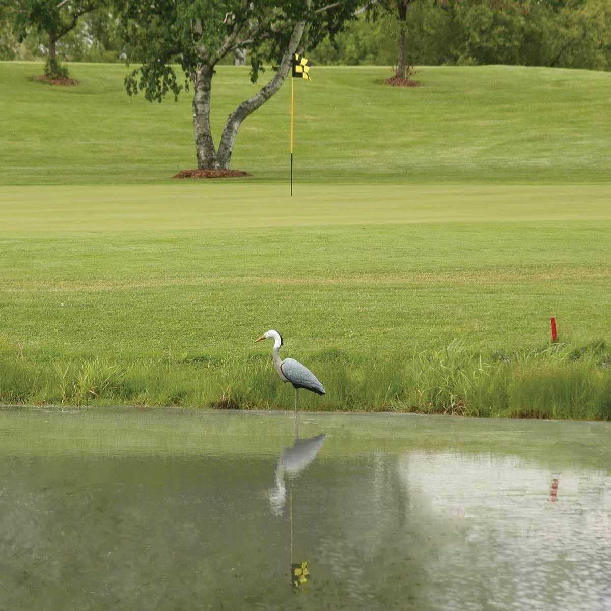 Flambeau Great Blue Heron Decoy - Image 3