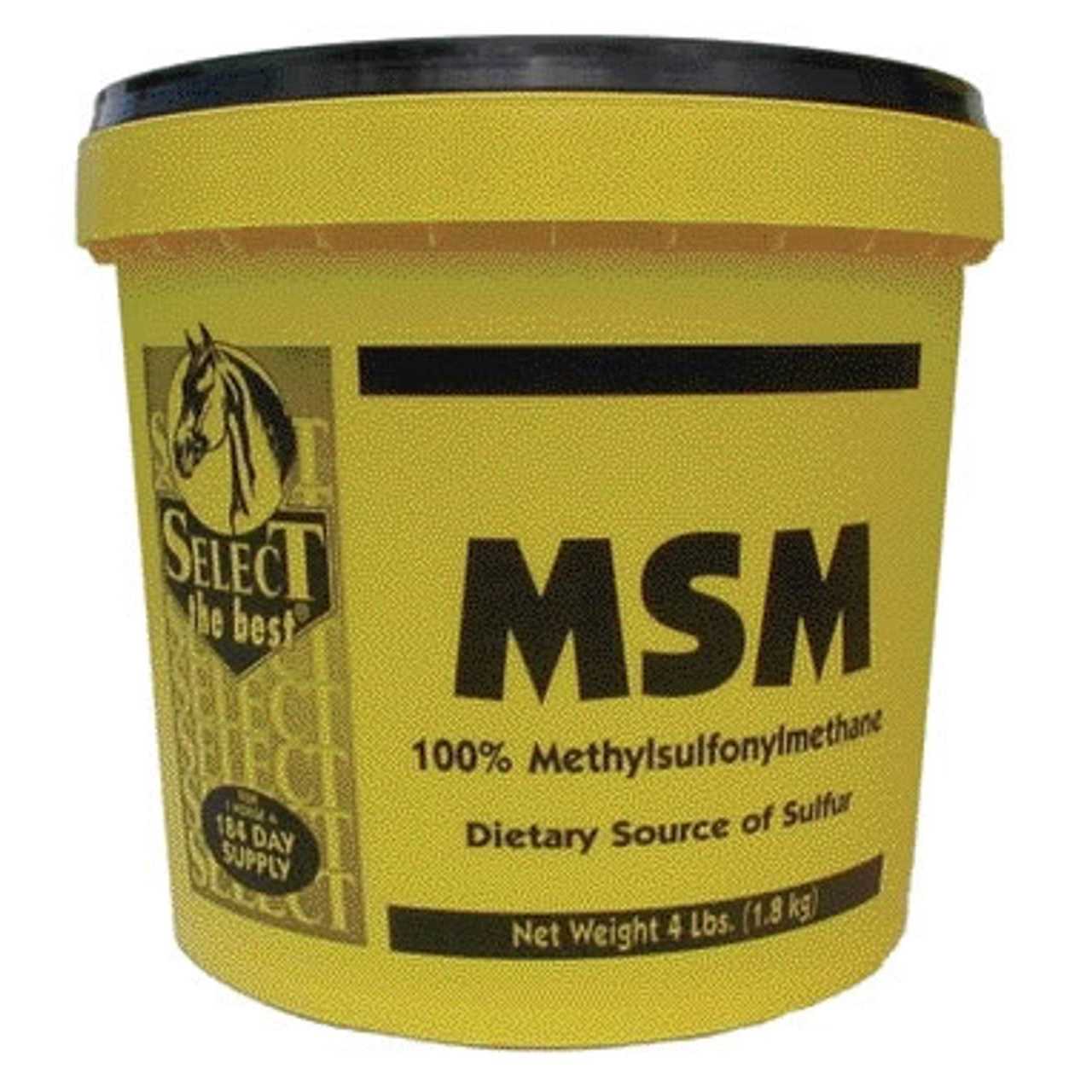 Select The Best MSM - Image 5