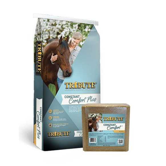 Tribute Constant Comfort Block - Image 2