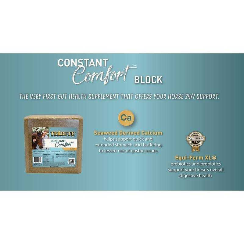 Tribute Constant Comfort Block - Image 3