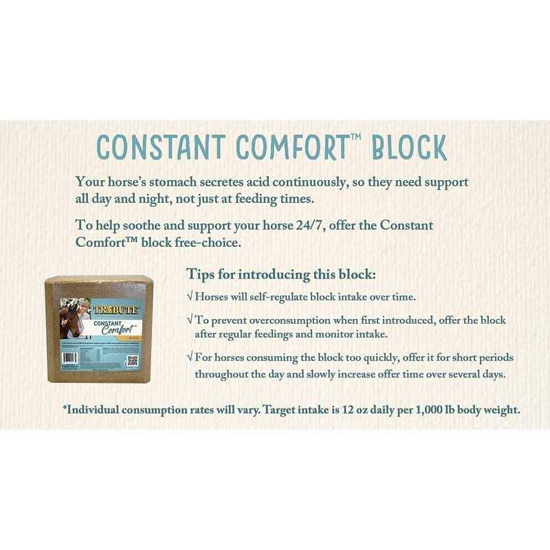 Tribute Constant Comfort Block - Image 4