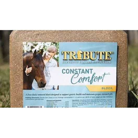 Tribute Constant Comfort Block - Image 5