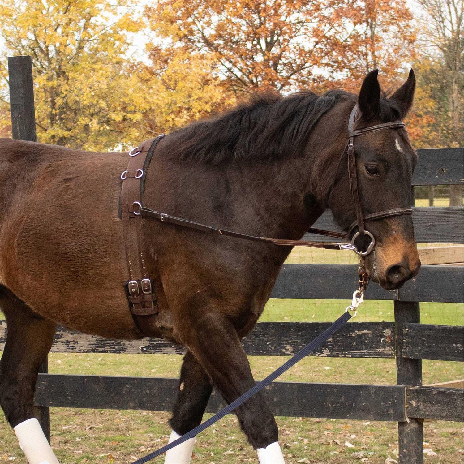 Tough-1 PVC Nyloprene Surcingle - Image 4