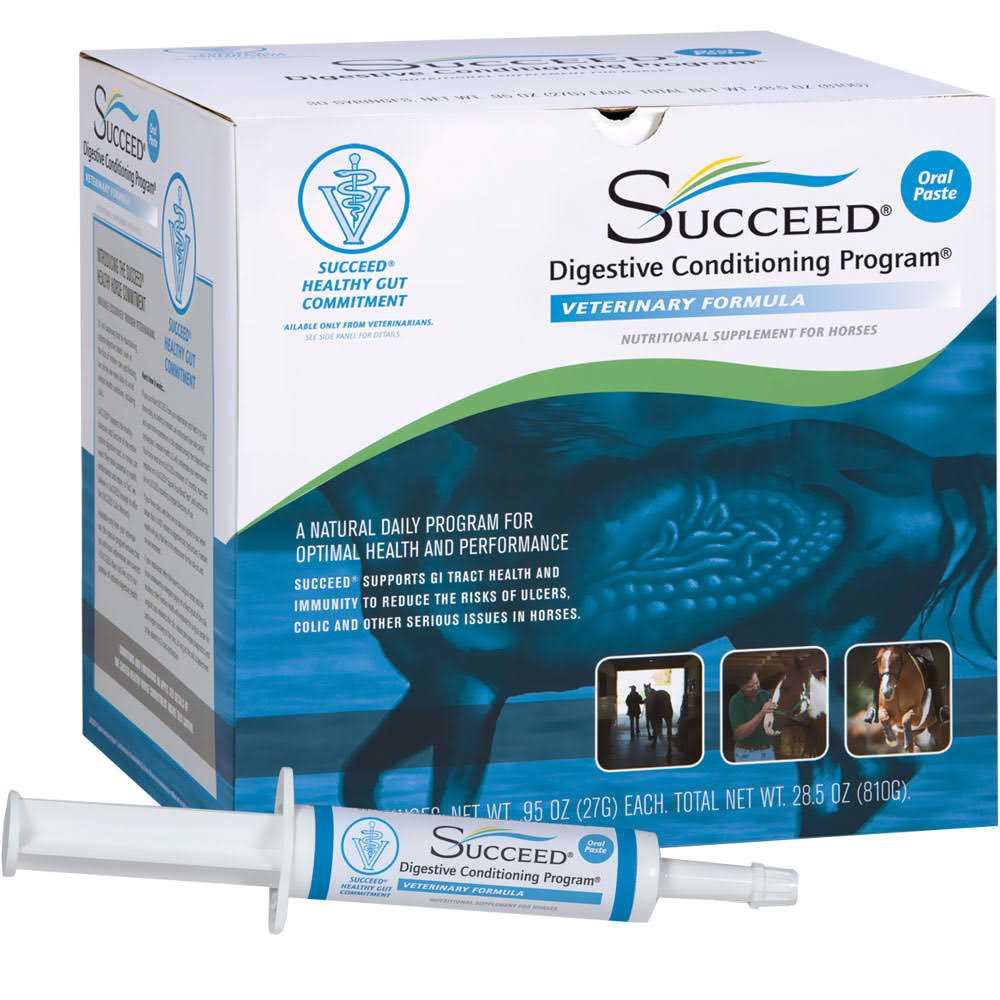 Succeed DCP Veterinary Formula Paste