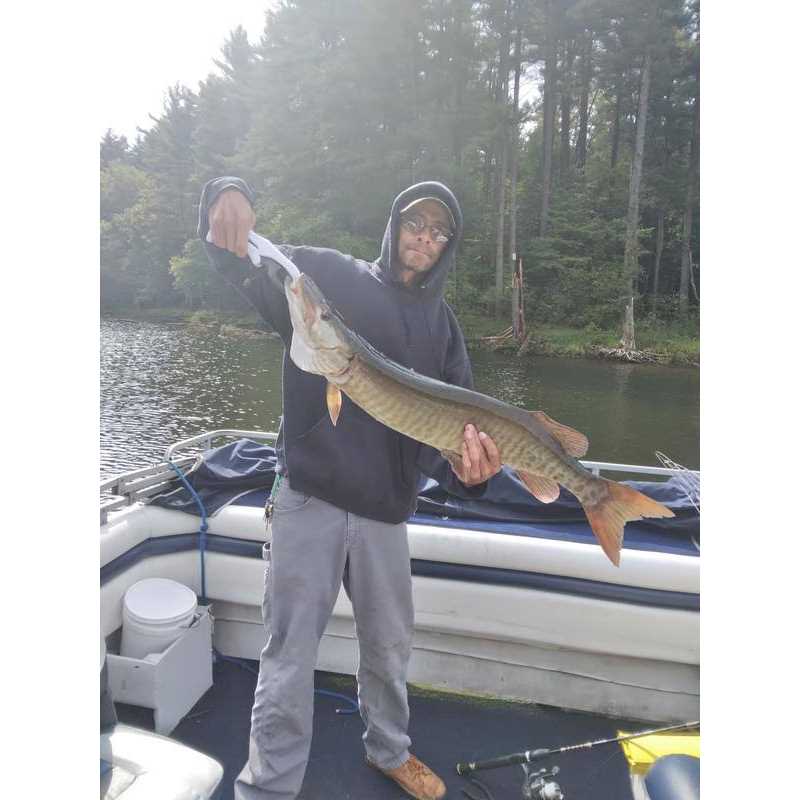 Ranger Nets True Blue Tournament Series Landing Net - Image 4