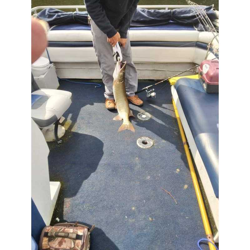 Ranger Nets True Blue Tournament Series Landing Net - Image 5
