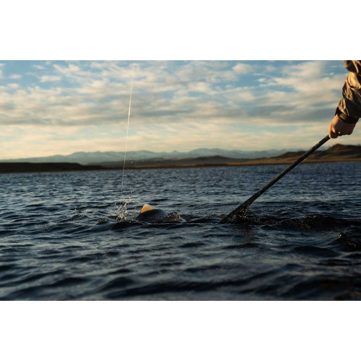 Fishpond Nomad Mid-Length Net - Image 4