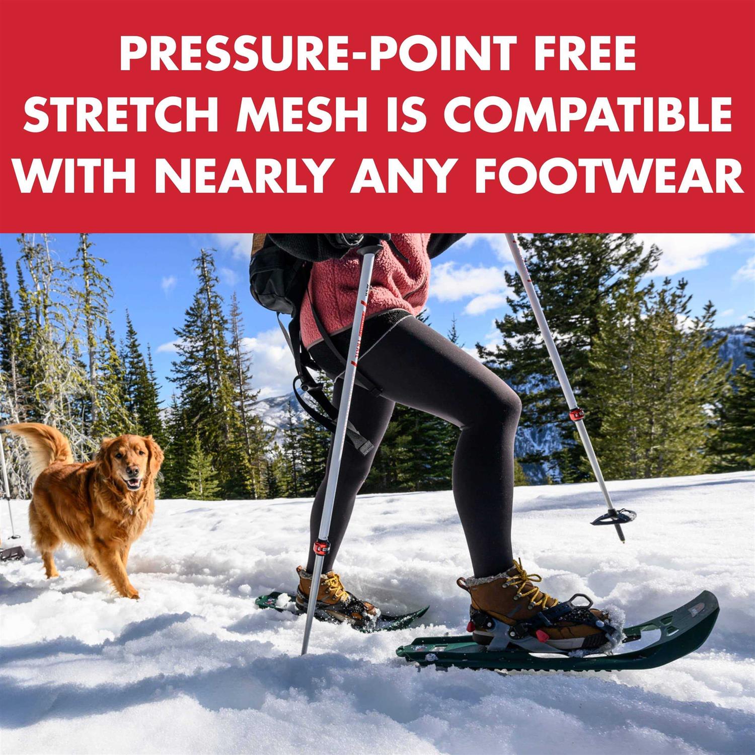 MSR Evo Trail - Image 5