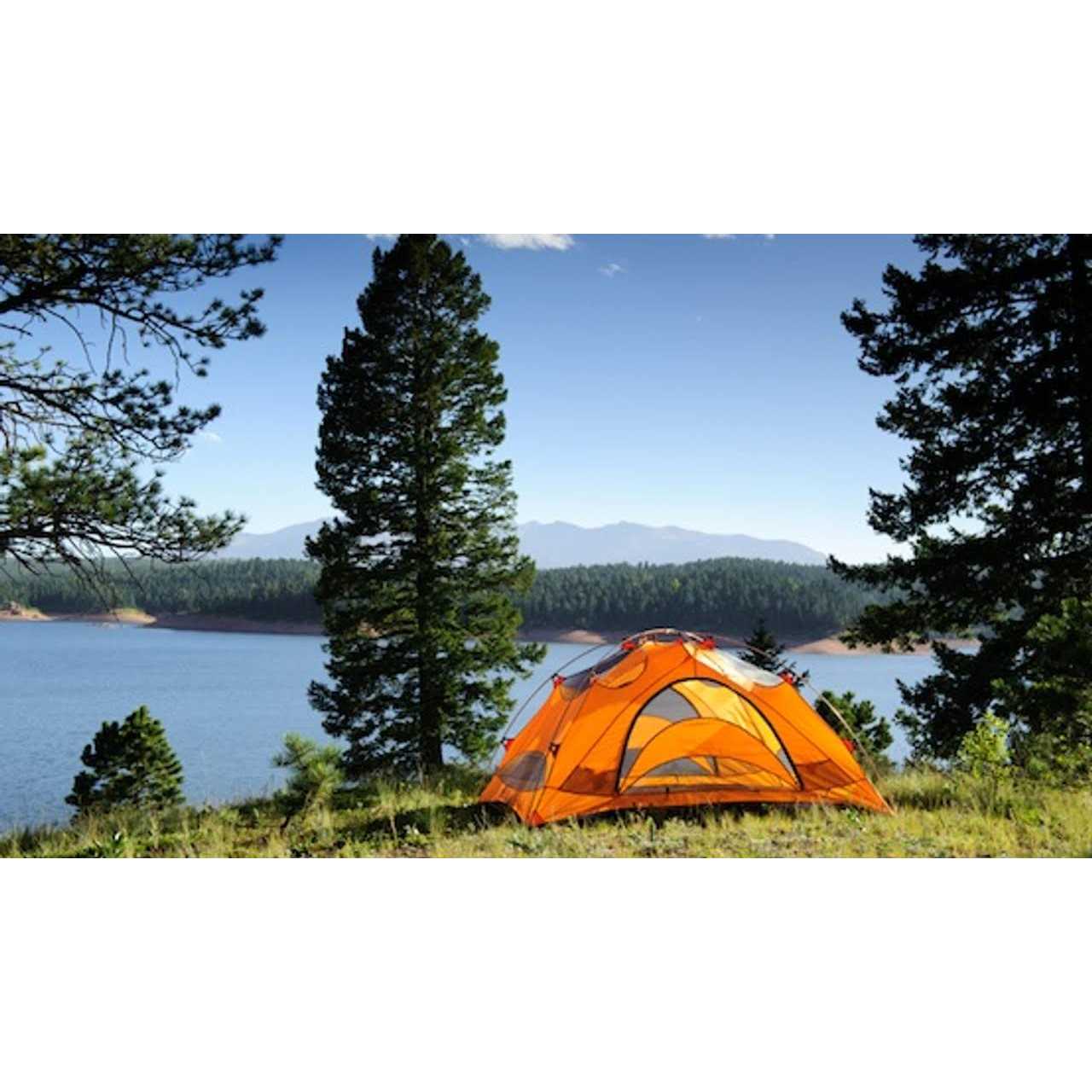 Yamamoto Scope Shad - Image 3