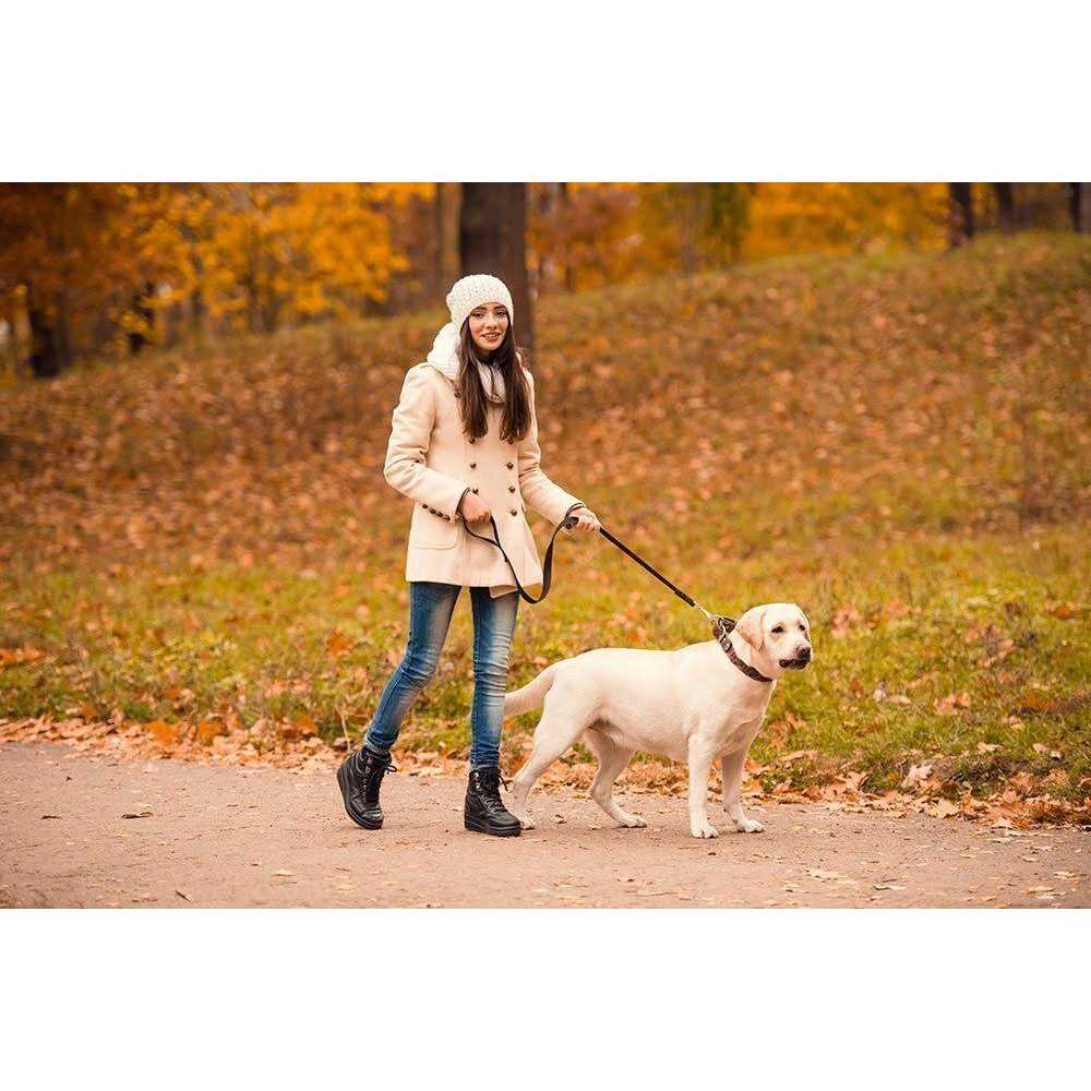 Hothands Toe Warmers - Image 2