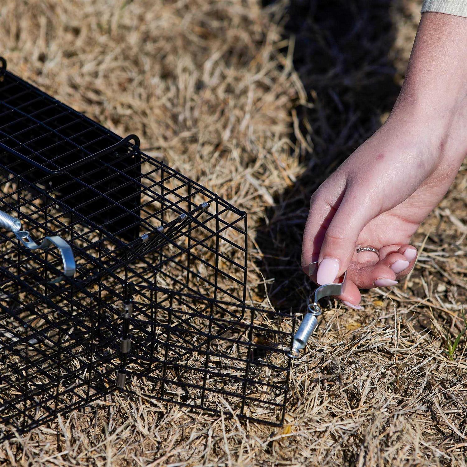 Rugged Ranch CHPTO Chipmunkinator Live Chipmunk Squirrel Metal 2 Door Cage Trap - Image 2